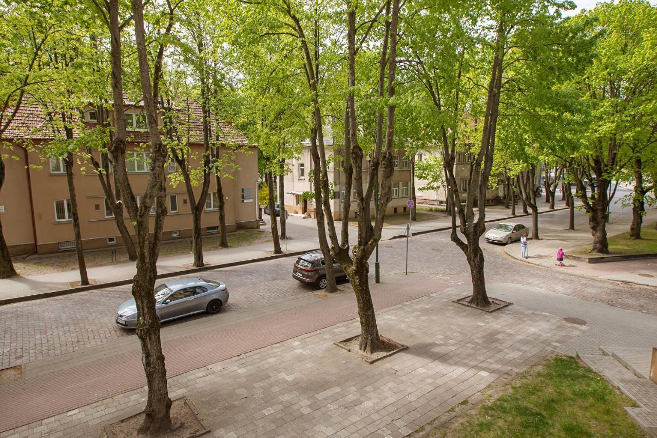 Dvieju Kambariu Butas Klaipedos Centre Apartman Klaipėda Kültér fotó